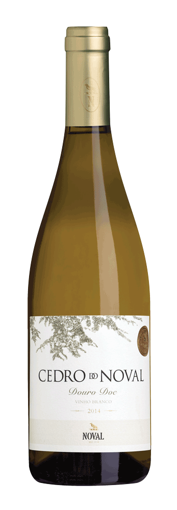 Cedro do noval branco