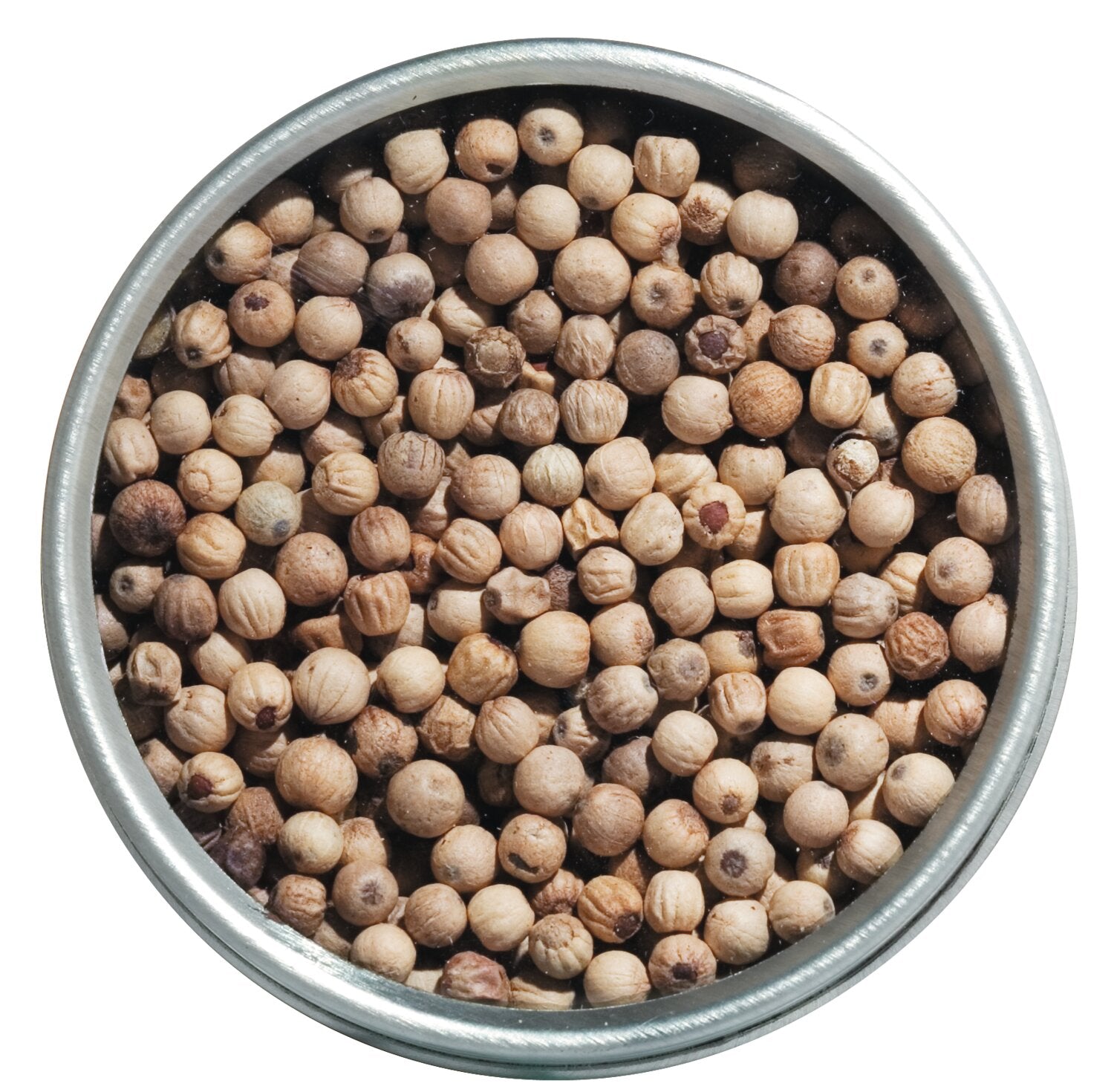 weisser Urwaldpfeffer